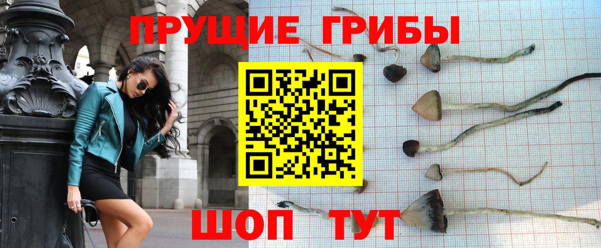 Керчь  Галлюциногенные грибы ЛСД  Вход с VPN 