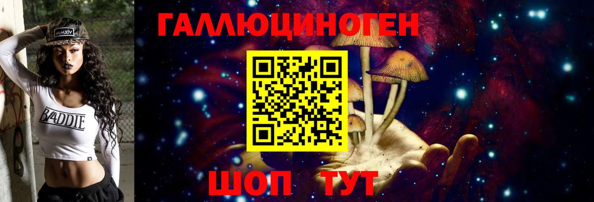 Псилоцибиновые грибы Psilocybine cubensis Керчь